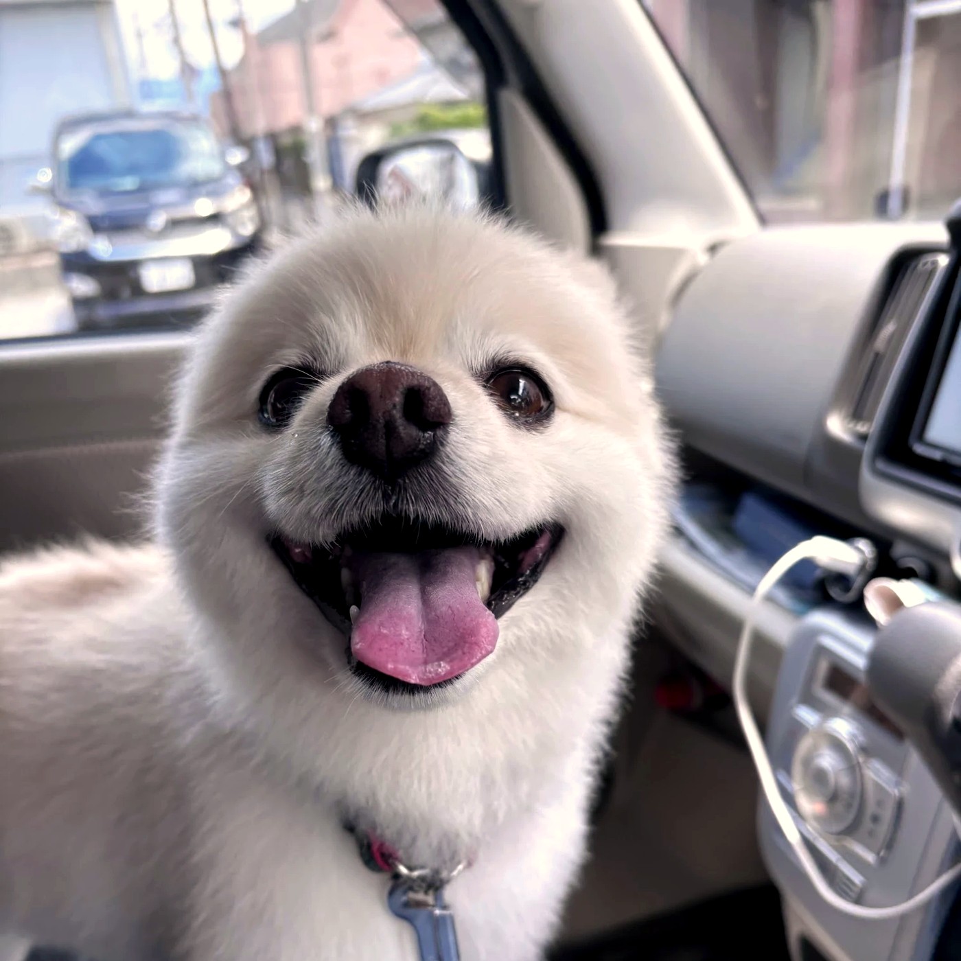 もかの写真2